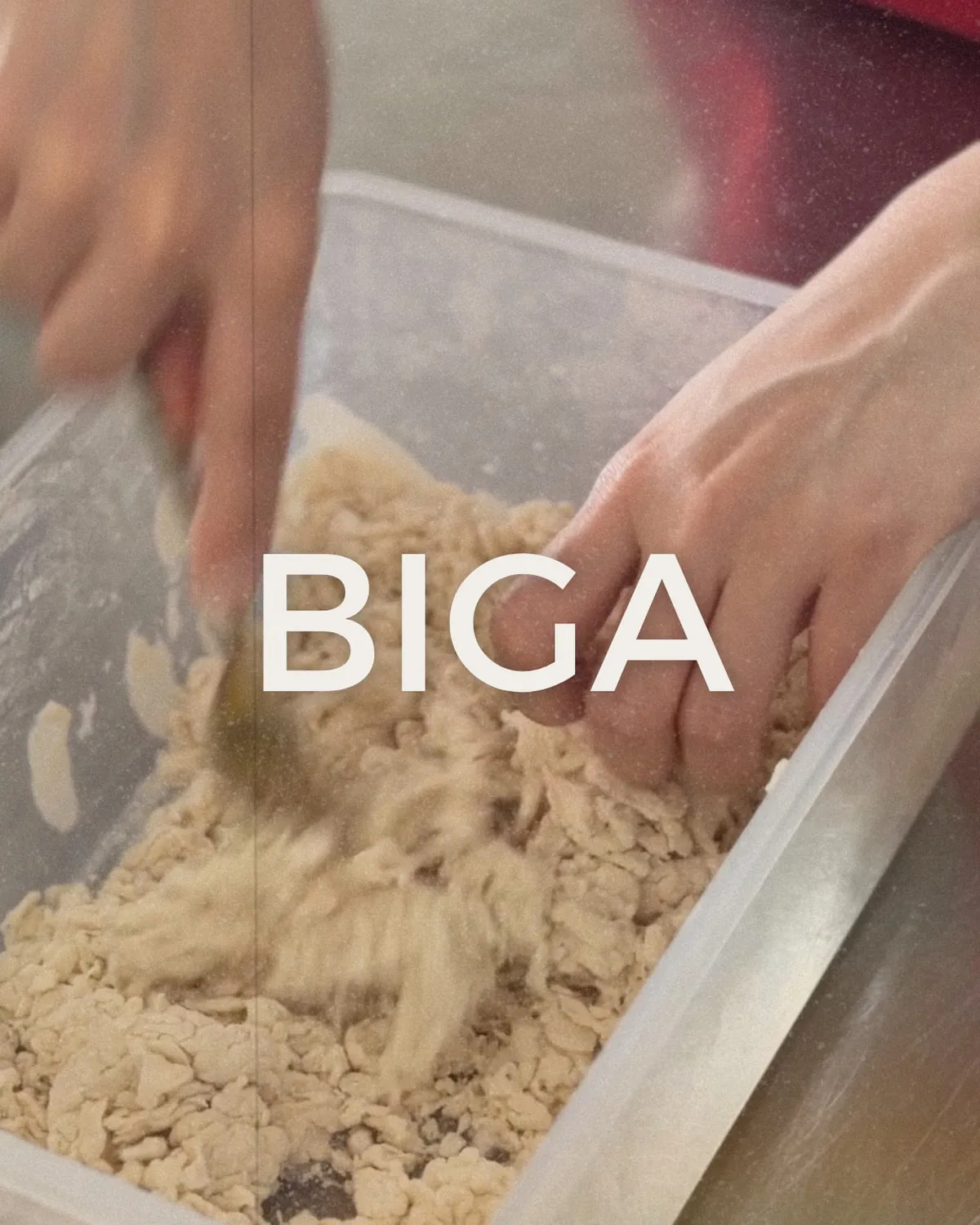 Hands working flour and water into a rough biga in a tub, captioned BIGA