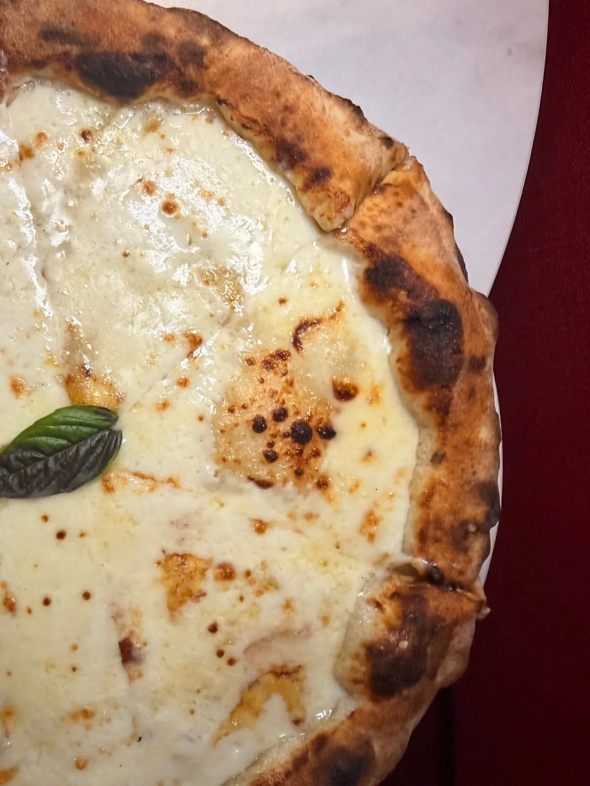 A white pizza under an even layer of melted cheese, a single basil leaf at its centre
